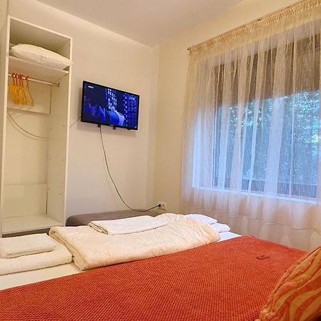 Villa Elita - Bela Crkva Bela Crkva  Εξωτερικό φωτογραφία
