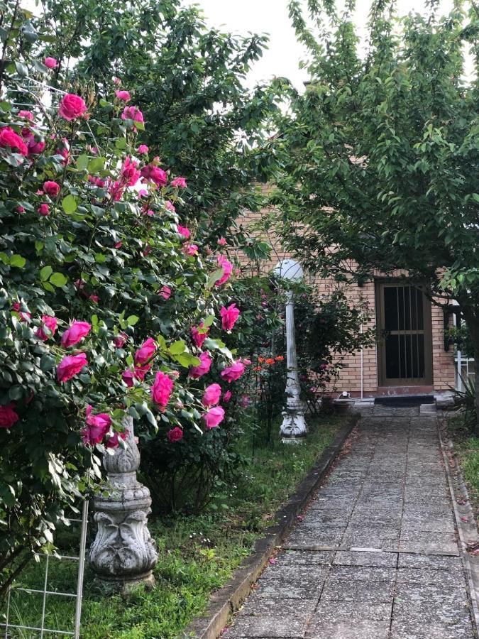 Villa Elita - Bela Crkva Bela Crkva  Εξωτερικό φωτογραφία