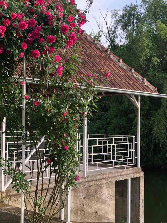 Villa Elita - Bela Crkva Bela Crkva  Εξωτερικό φωτογραφία